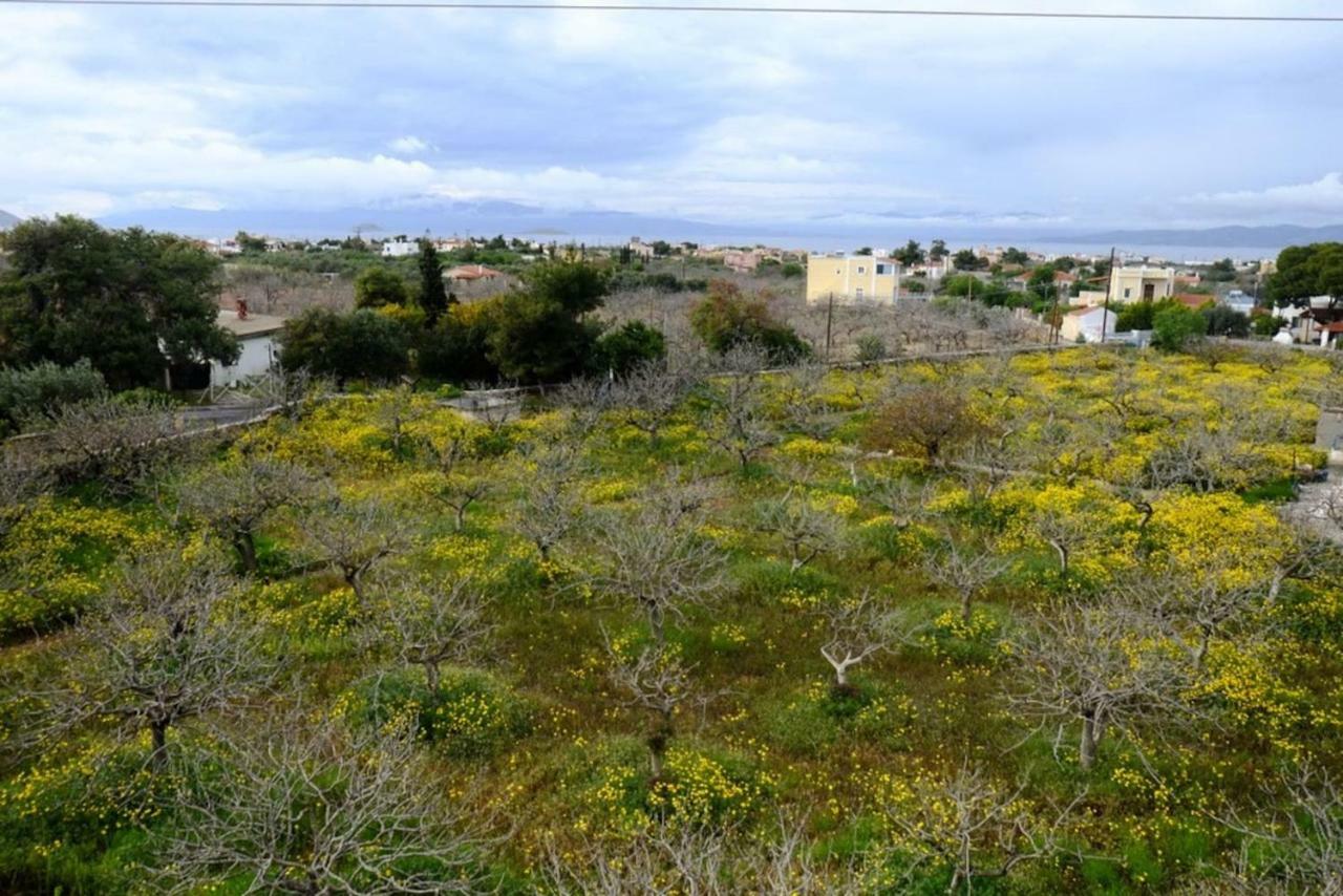 Villa Konstantinos Aegina Luaran gambar